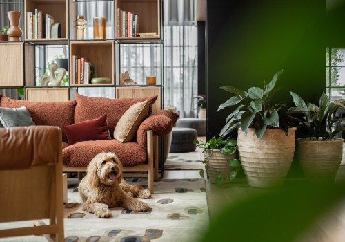 The Ultimate Guide to Pet-Friendly Service Apartments in Melbourne CBD